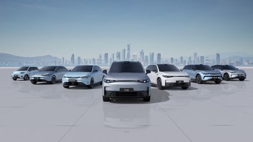 零跑汽車2024上半年財報分析 交付量創歷史新高，營銷網絡持續優化助力銷售增長